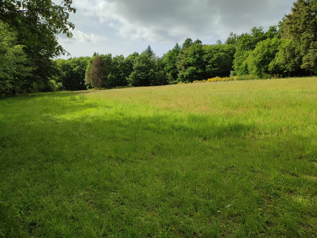 Arboretum du Deister